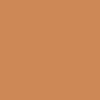 bronze bronze