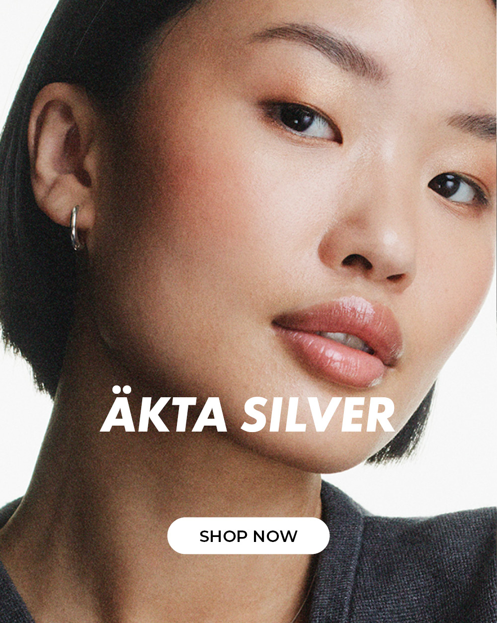ÄKTA SILVER