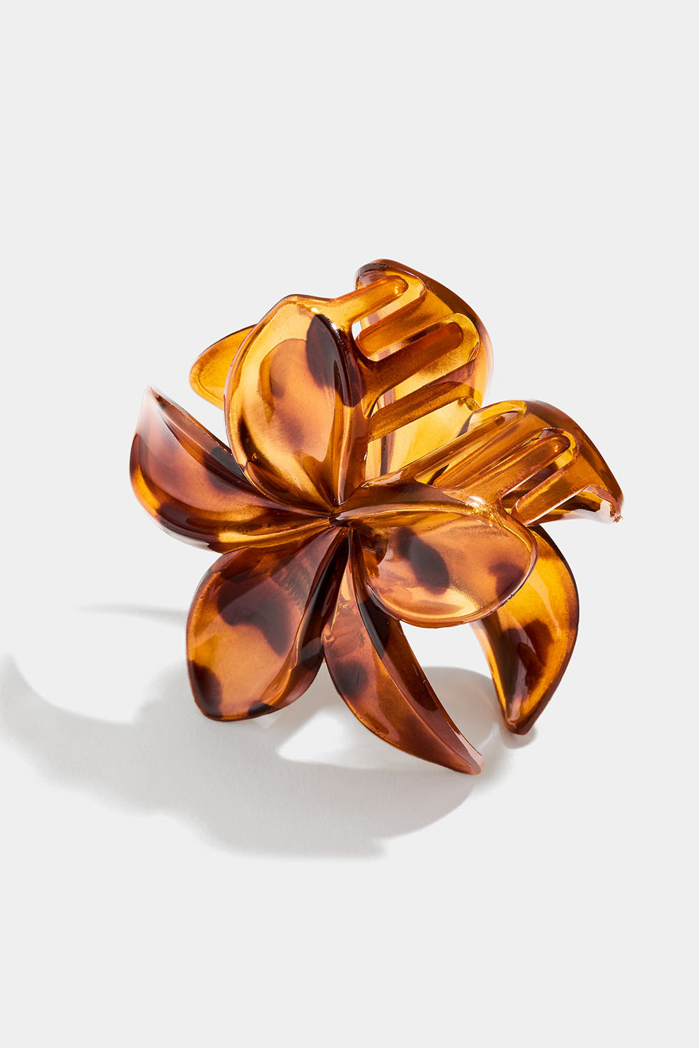 Blomklämma, tortoise